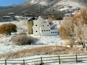 Park City Real Estate Trends