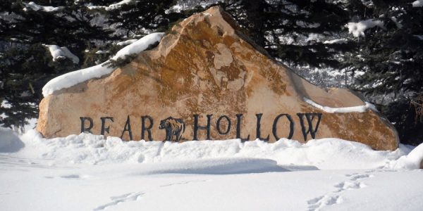 Bear Hollow Neighborhood Spotlight