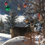 Holiday decorating and real estate | Park City Real Estate