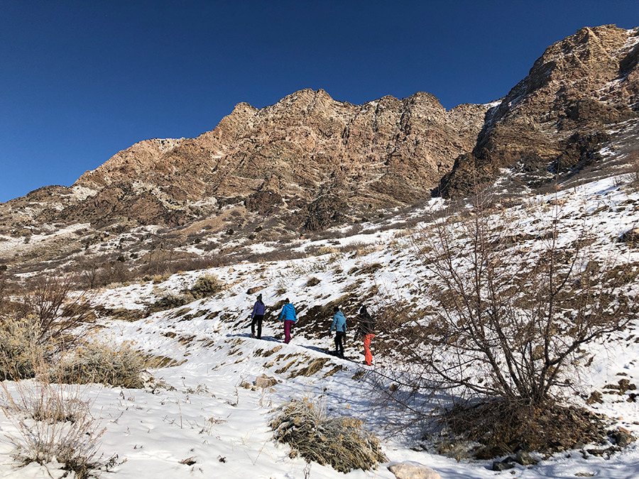 ogden trails