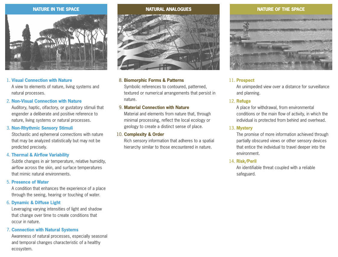 Terrapin 14 patterns of biophilic design