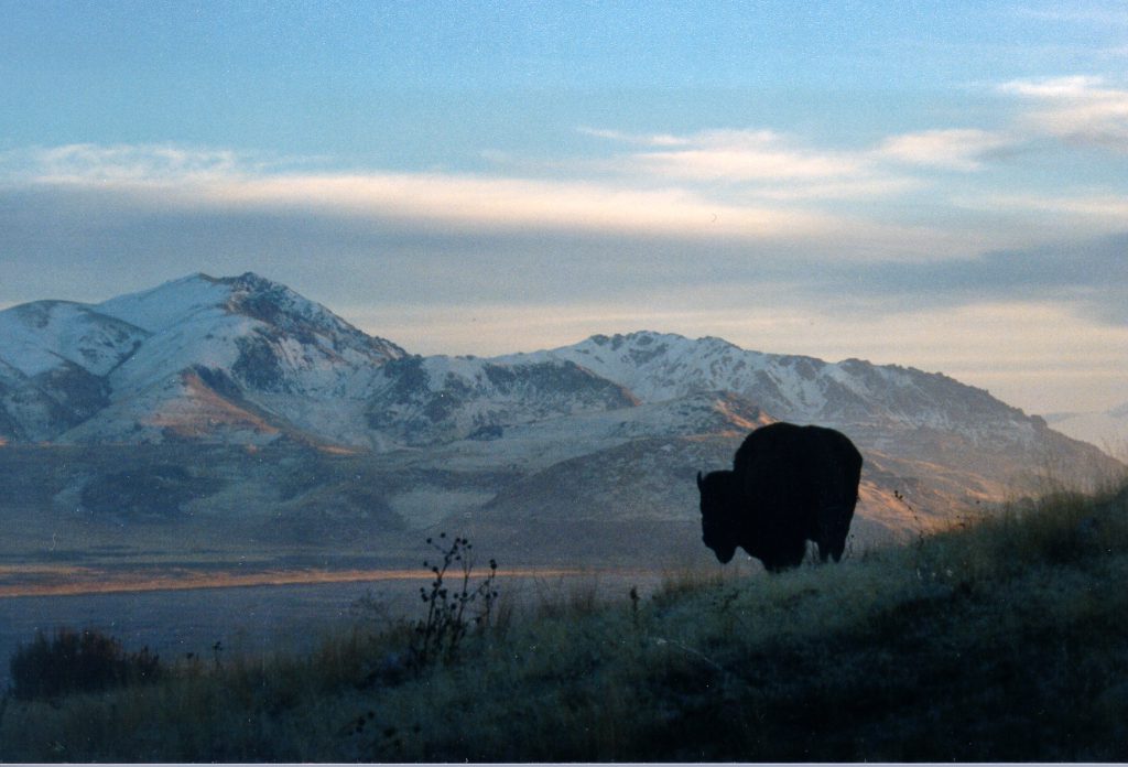 Antelope Island