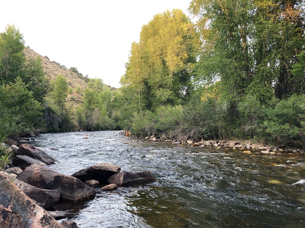 Camping Near Park City Utah