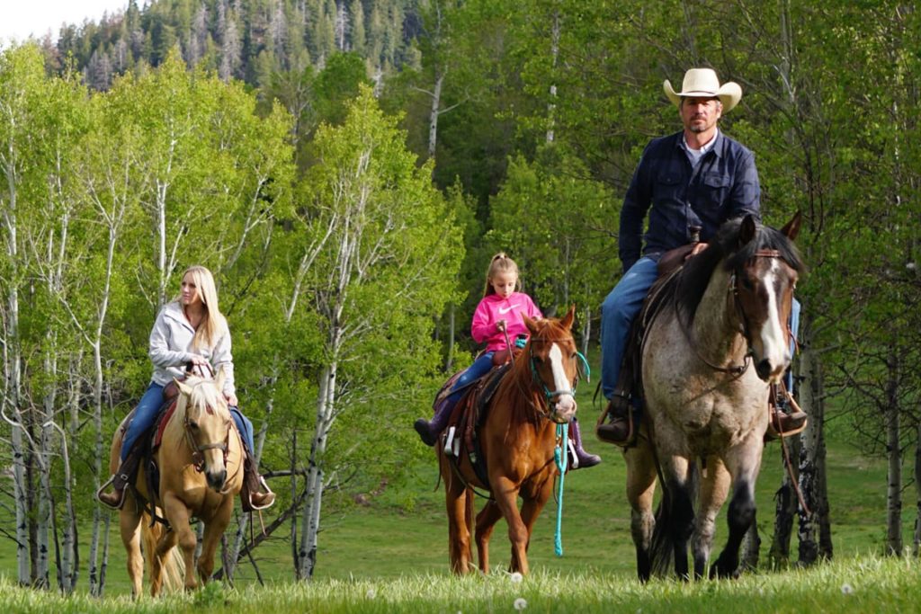 horseback riding park city