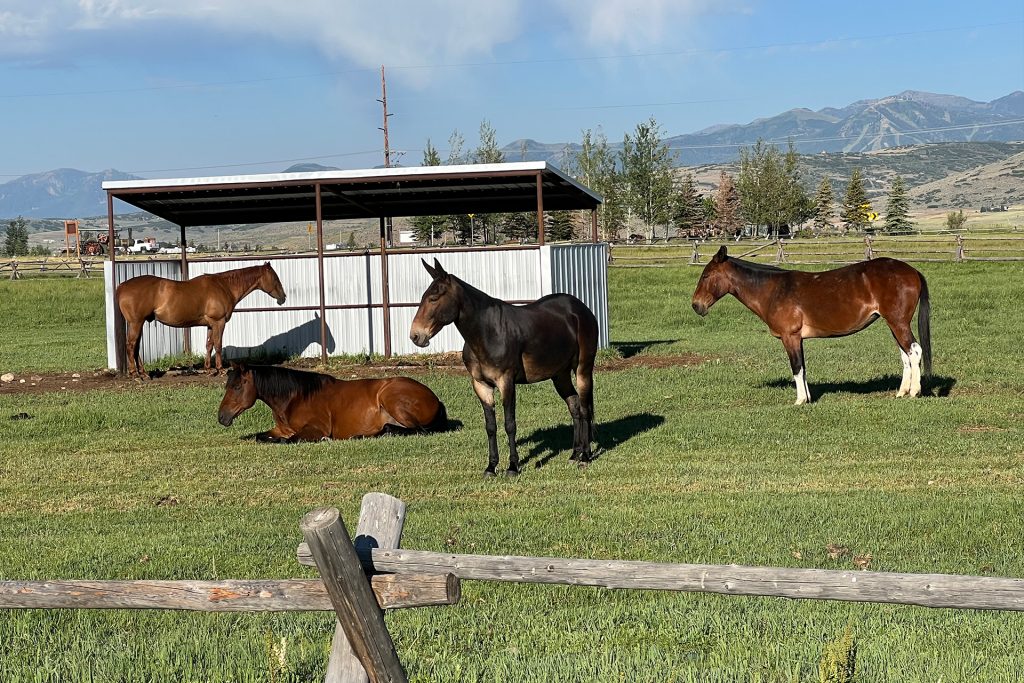 Park City Area Horse Neighborhoods