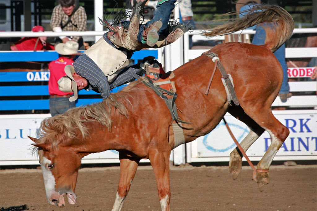 Oakley-Utah-Rodeo-Independence-Day