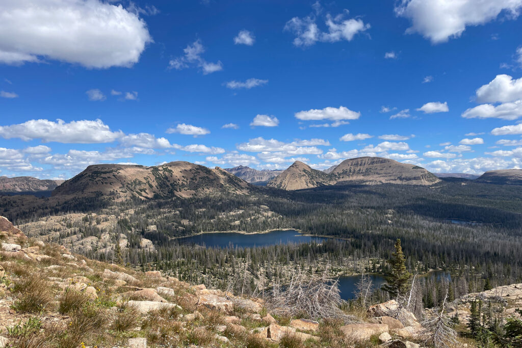 Uinta-Wasatch-Cache-National-Forest